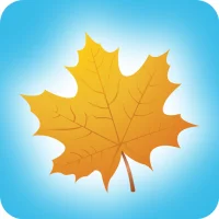 Vernon Students' Association